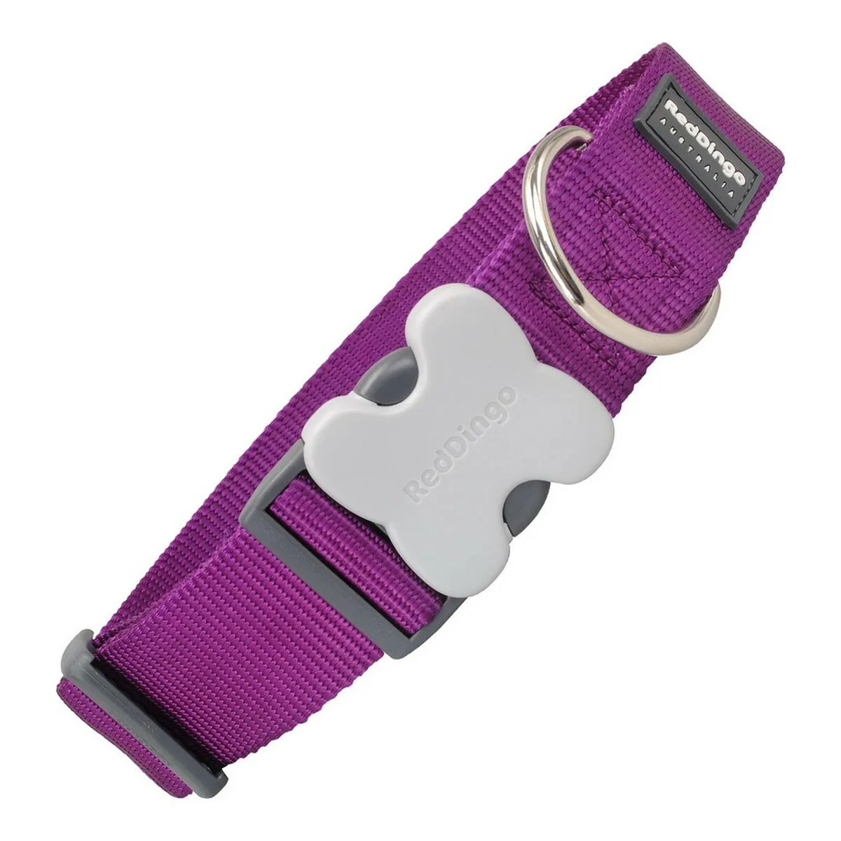 Violetinis šuns antkaklis Red Dingo Bucklebone GS, 40 mm, 37–55 cm